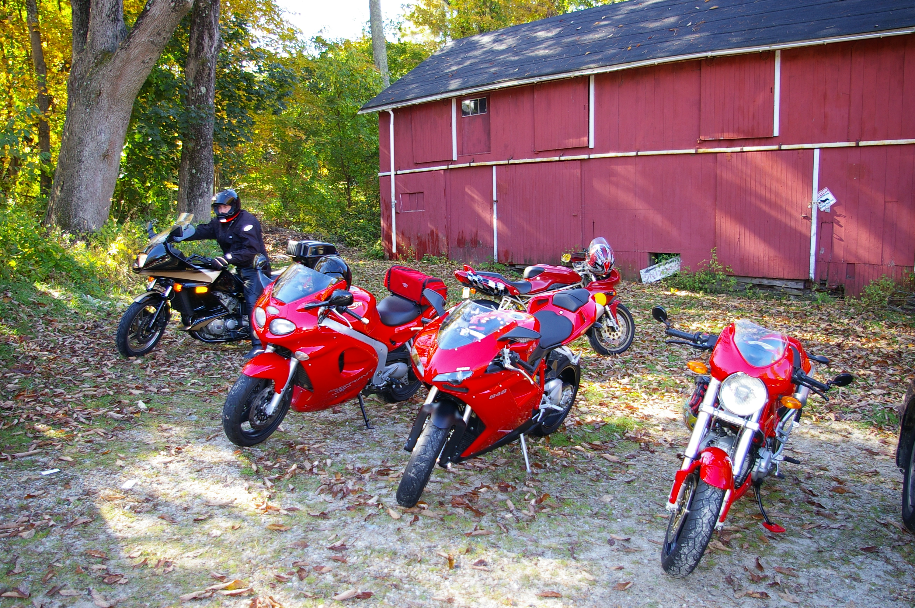 Memphis Motorcycle Gang Logos